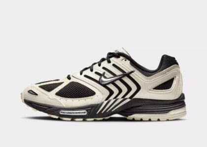 Men's Nike Air Pegasus 2005 Casual Shoes