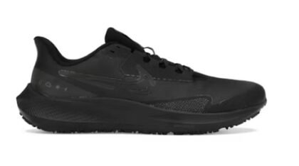 Nike Air Zoom Pegasus 39 Shield