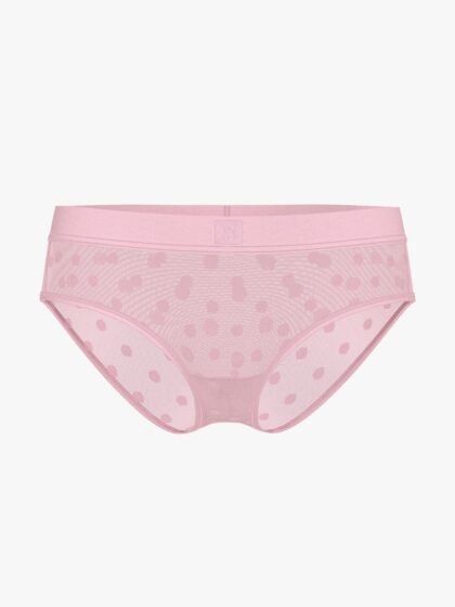 Victoria’s Secret Sheer Heritage Logo Hiphugger Panty Pretty Blossom