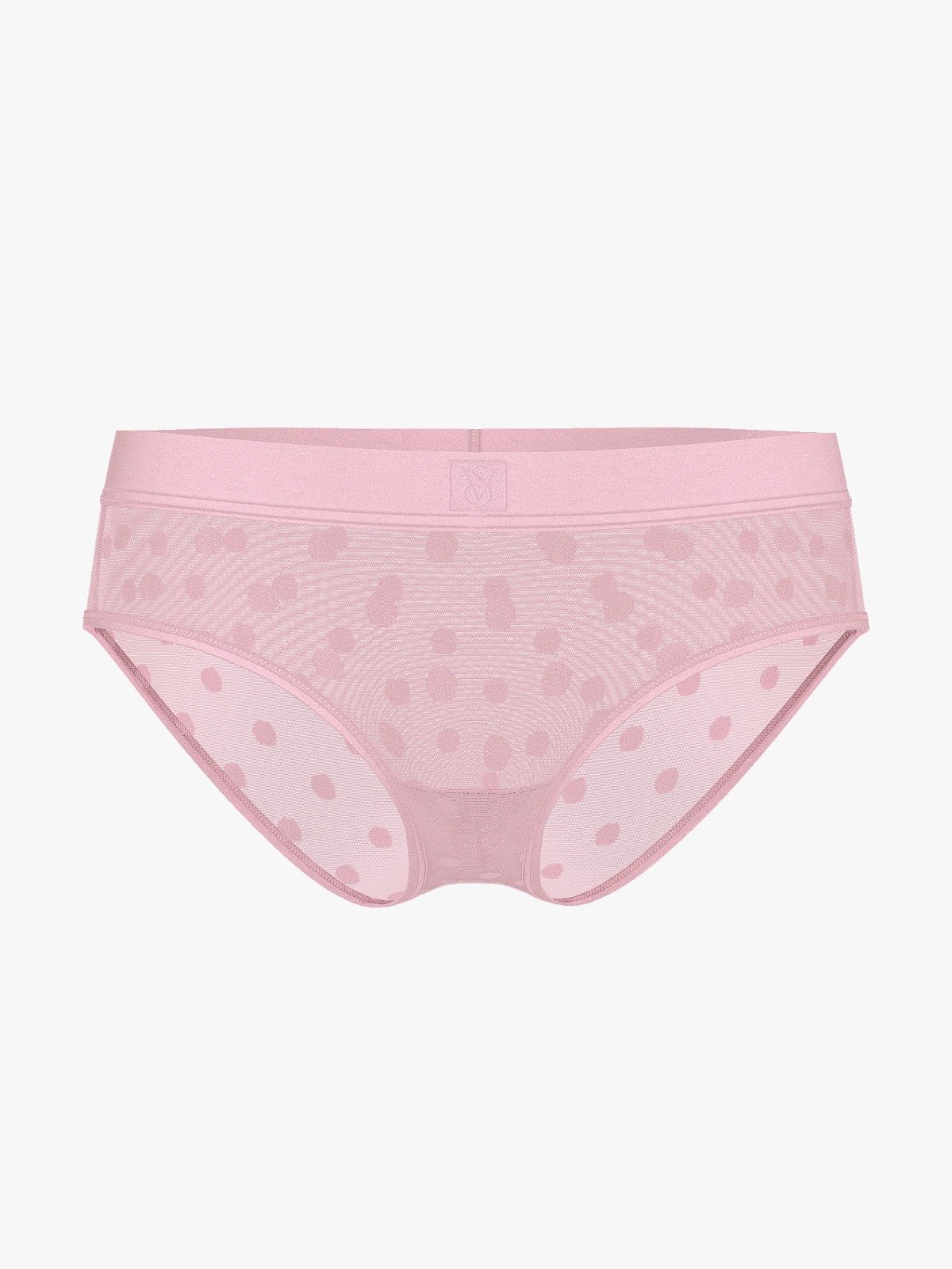 Victoria’s Secret Sheer Heritage Logo Hiphugger Panty Pretty Blossom