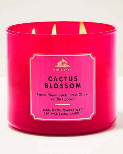 VELA AROMATICA White Barn Cactus Blossom – 3‑Wick Scented Candle – 14.5 oz