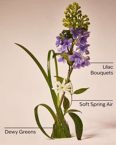 Bath & Body Works Fresh Cut Lilacs Wallflowers Refill 1-Pack ambientador - Image 2