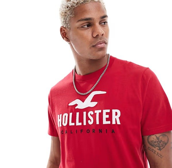 Hollister Tech Logo T-Shirt Red – Men’s - Image 2