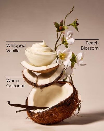 Bath & Body Works Vanilla Coconut Wallflowers Refill 1-Pack - Image 3